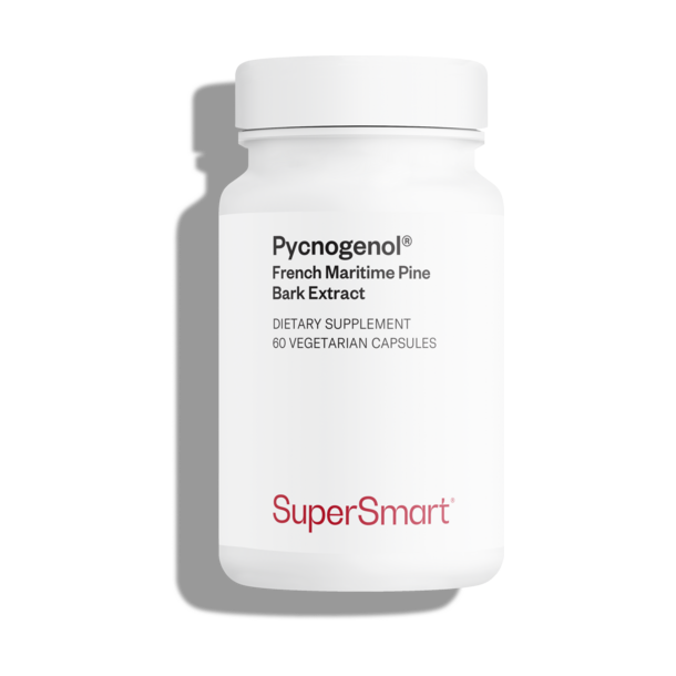 Complément alimentaire de pycnogénol riche en proanthocyanidines