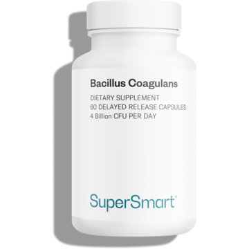 Complément Probiotique Bacillus Coagulans