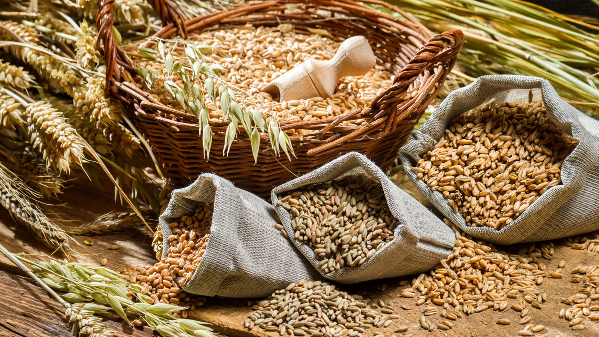 Manger des fibres