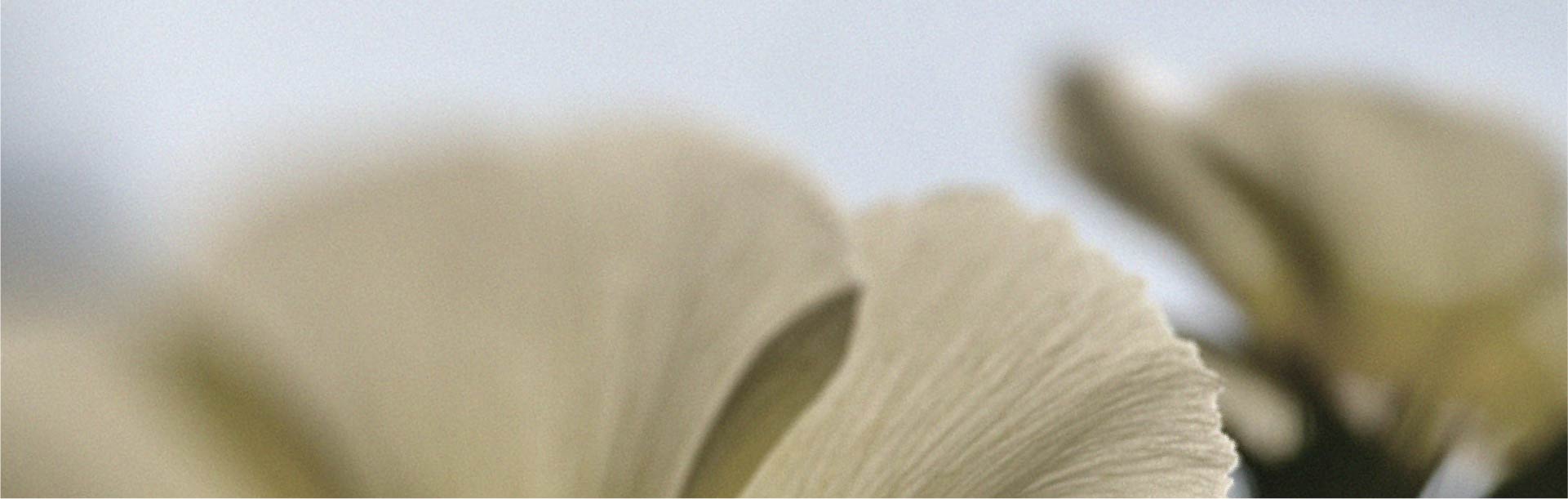 Les facteurs qui peuvent affecter la vitalité masculine