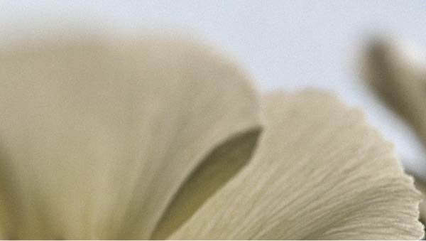 Les facteurs qui peuvent affecter la vitalité masculine
