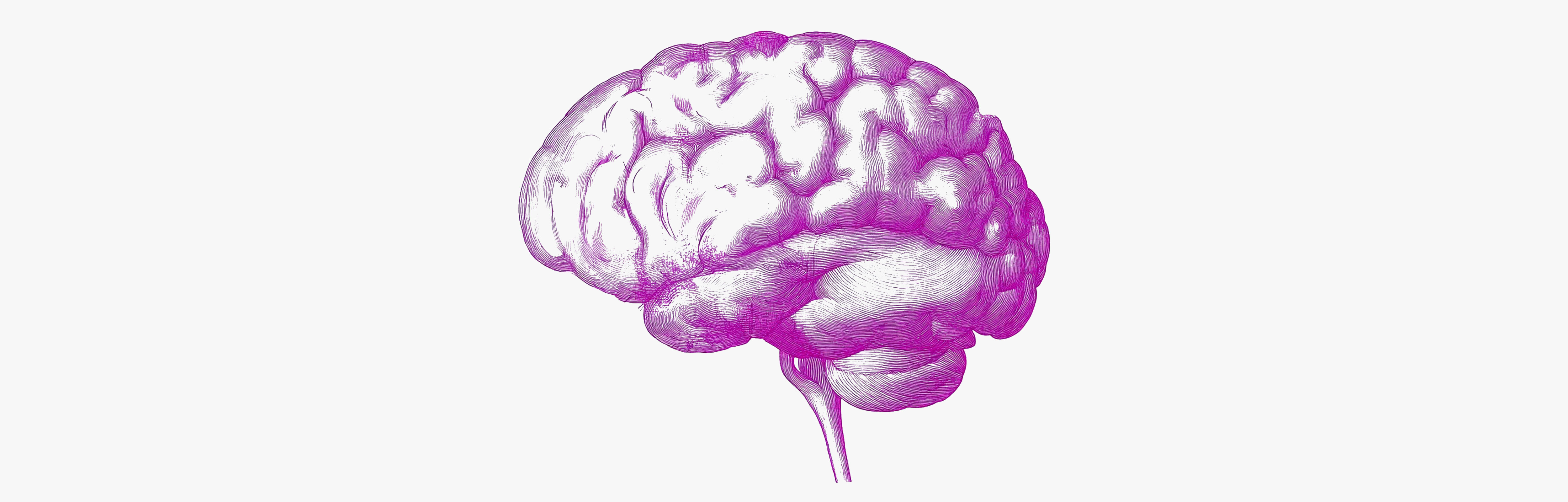 Multivitamines contre le déclin cognitif