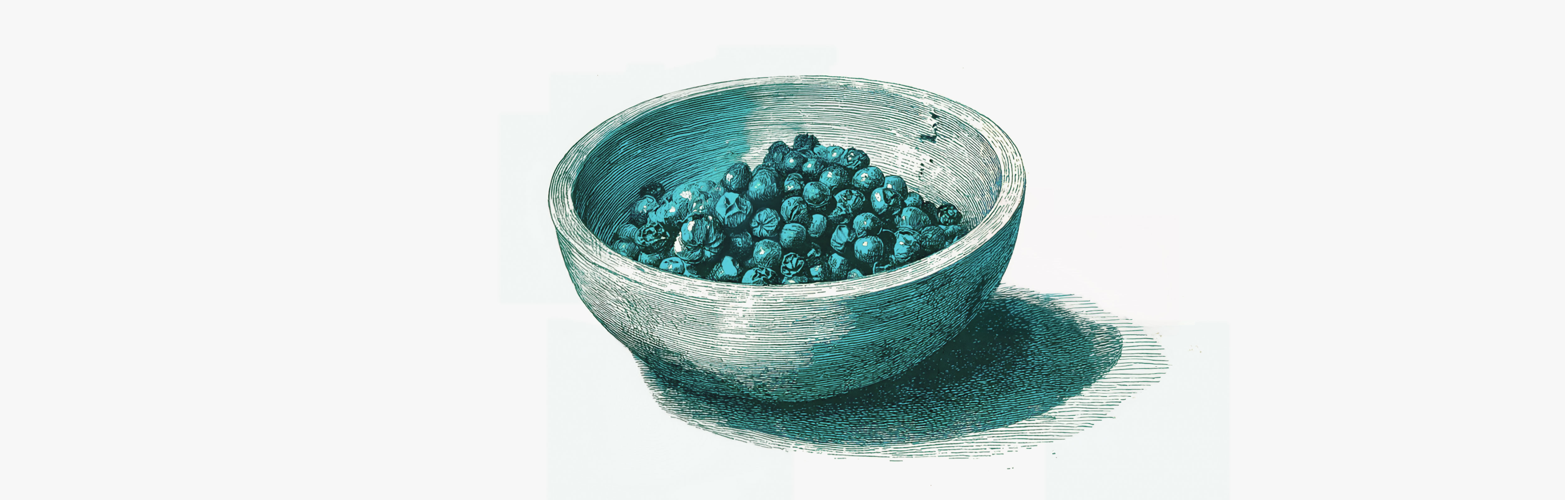 Poivre noir pour assimiler les nutriments