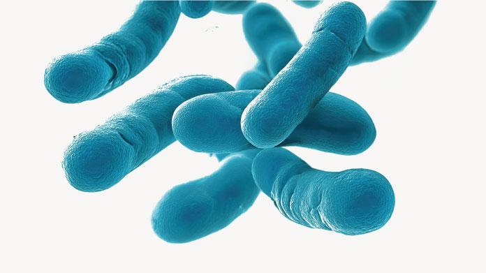 Probiotiques pour soulager l’intestin irritable
