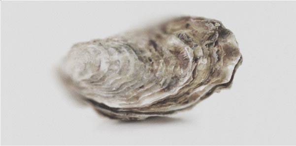 Les bienfaits du zinc pour la femme